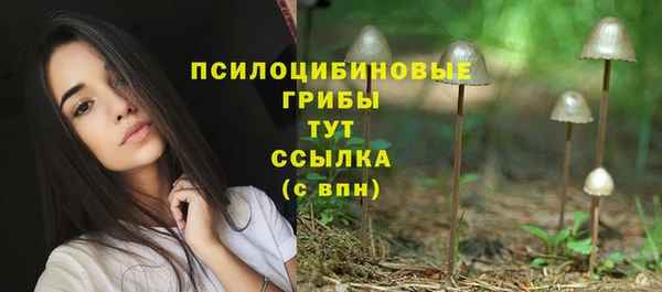 дживик Алексеевка