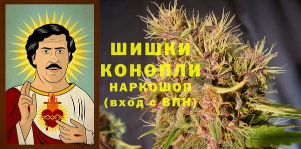 шишки Алзамай