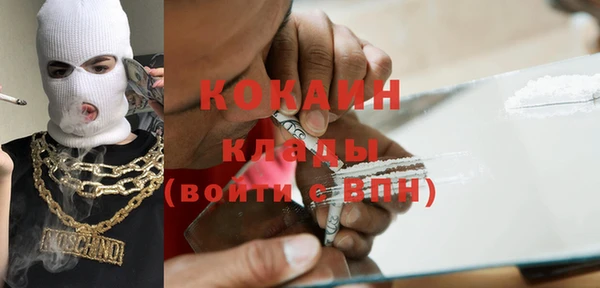 шишки Алзамай