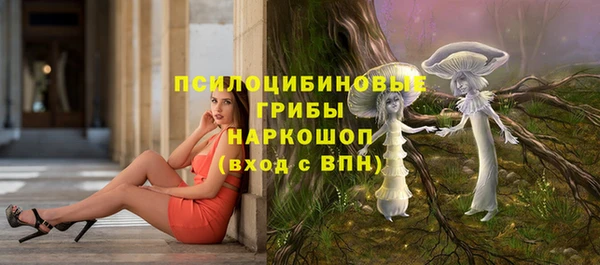 шишки Алзамай