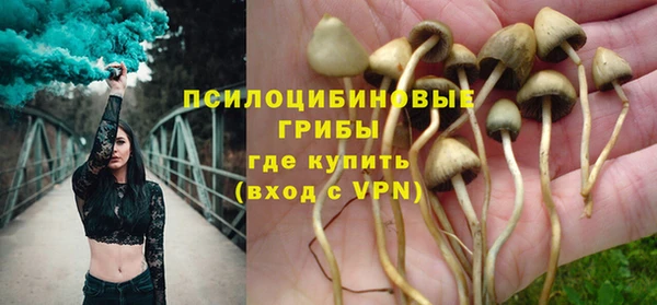 шишки Алзамай