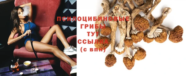 шишки Алзамай